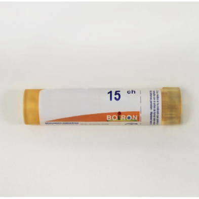 STRAMONIUM 15CH GR BOIRON